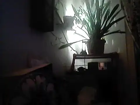 Snapshot of Bigpenis6y chatting on 12/30/24, 03:57 Bigpenis6y online show from 12/30/24, 03:57