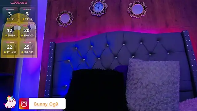 Bunny O online show from 01/29/25, 11:56