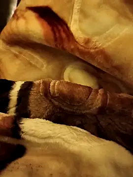 Snapshot of yhona_darling chatting on 12/16/25, 05:18 yhona darling online show from 12/16/25, 05:18