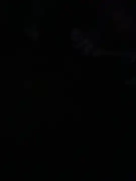 avans 15 online show from 05/14/26, 12:06