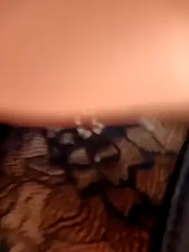 aurora sky11 online show from 10/14/25, 07:47