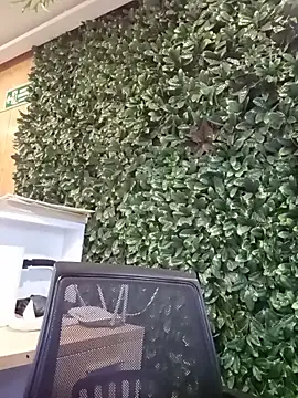 Snapshot of __JaviJavi chatting on 03/15/26, 11:11 JaviJavi online show from 03/15/26, 11:11