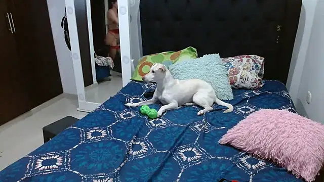 amazonafit  online show from 02/15/25, 04:14