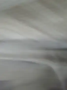 lm279 online show from 11/01/25, 03:58