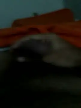 Snapshot of lm279 chatting on 01/14/26, 03:06 lm279 online show from 01/14/26, 03:06