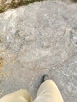 Snapshot of Ishan003 chatting on 02/05/26, 01:32 Ishan003 online show from 02/05/26, 01:32