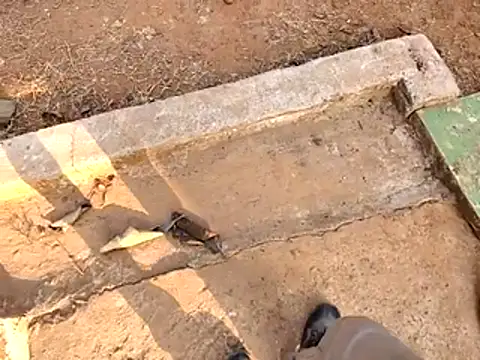 Snapshot of Ishan003 chatting on 02/15/26, 10:36 Ishan003 online show from 02/15/26, 10:36