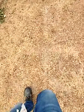 Snapshot of Ishan003 chatting on 03/06/26, 03:03 Ishan003 online show from 03/06/26, 03:03