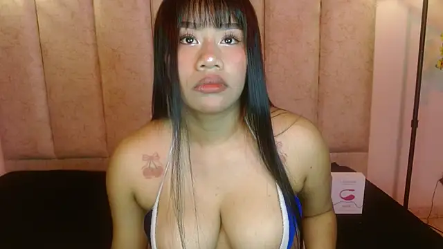 Snapshot of alaiabluecs chatting on 11/15/25, 04:54 alaiabluecs online show from 11/15/25, 04:54