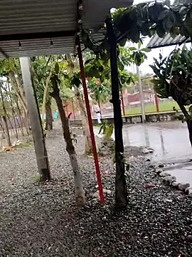 BeetledFlouter12 online show from 09/26/25, 07:07