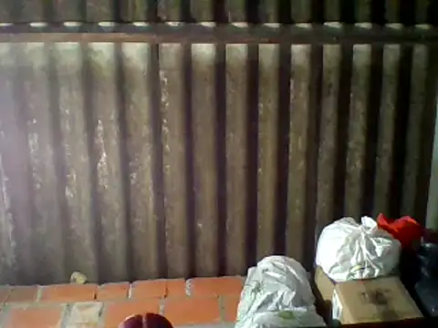 dafne19  online show from 02/16/25, 09:37