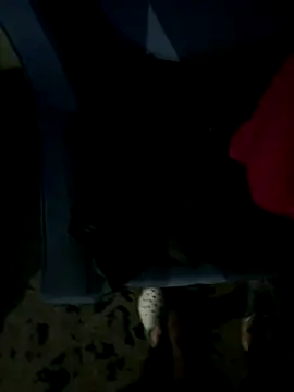 Snapshot of JosephAKenwood chatting on 12/02/25, 01:39 JosephAKenwood online show from 12/02/25, 01:39