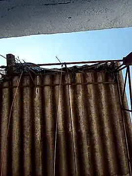 Percybr4561 online show from 10/25/25, 01:29