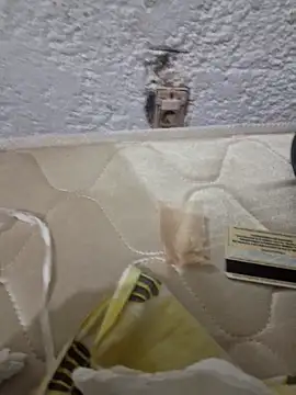 montevideoo online show from 10/06/25, 12:52