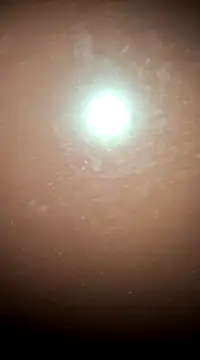 tall nangu online show from 02/21/25, 06:04
