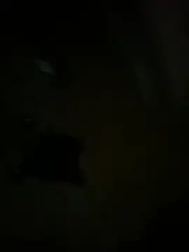 Snapshot of hardbigcock16 chatting on 04/03/26, 06:17 hardbigcock16 online show from 04/03/26, 06:17