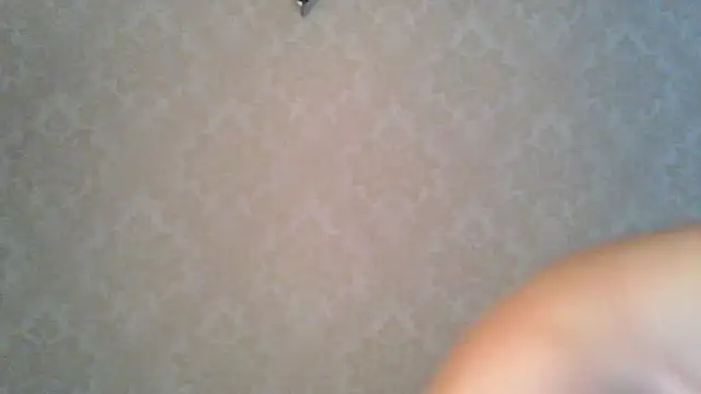 Snapshot of Kashtanka_ chatting on 10/27/25, 07:56 Kashtanka online show from 10/27/25, 07:56