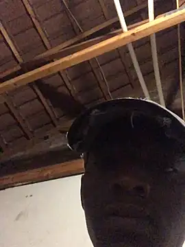 Snapshot of thekidrose chatting on 12/02/25, 05:35 thekidrose online show from 12/02/25, 05:35