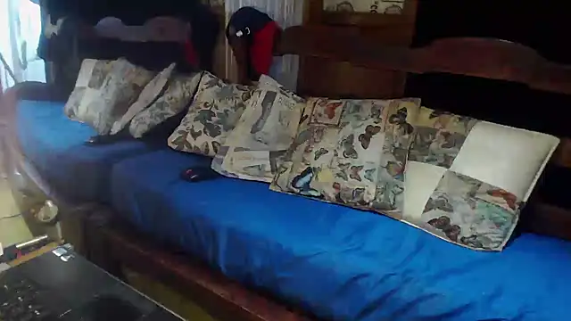 laye19 online show from 11/17/25, 10:26