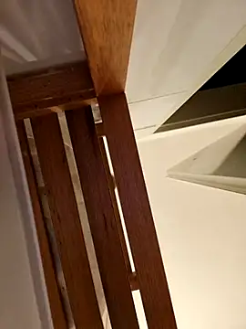 Snapshot of Josephine_LIVE chatting on 11/28/25, 05:21 Josephine LIVE online show from 11/28/25, 05:21