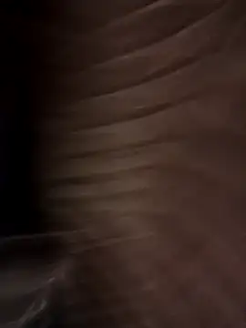 Snapshot of Luchitosexass chatting on 12/29/24, 08:26 Luchitosexass online show from 12/29/24, 08:26