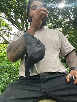 Lyon vach online show from 11/03/25, 07:37