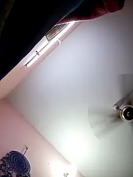 Tamil sreelekha online show from 02/13/25, 01:37