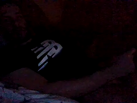 Snapshot of Vicktore007 chatting on 10/31/25, 05:25 Vicktore007 online show from 10/31/25, 05:25