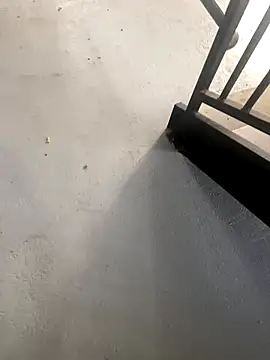 Snapshot of zeekBbc chatting on 10/27/25, 02:21 zeekBbc online show from 10/27/25, 02:21