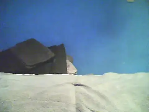 Snapshot of Vago745 chatting on 12/02/24, 10:50 Vago745 online show from 12/02/24, 10:50