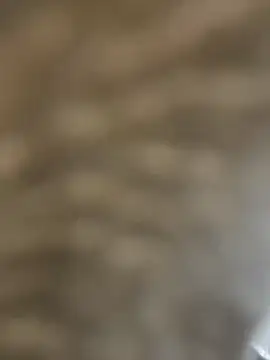 Snapshot of BhadBhad_Kitty chatting on 02/14/25, 06:45 BhadBhad Kitty online show from 02/14/25, 06:45