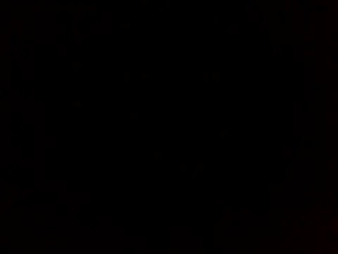 sammymoon online show from 12/20/24, 01:11