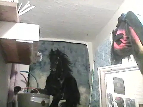 Snapshot of lilbishmiss chatting on 02/13/25, 10:12 lilbishmiss online show from 02/13/25, 10:12