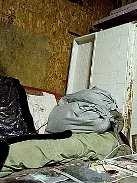 Snapshot of lilbishmiss chatting on 10/16/25, 11:50 lilbishmiss online show from 10/16/25, 11:50