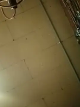 Snapshot of lilbishmiss chatting on 10/23/25, 01:54 lilbishmiss online show from 10/23/25, 01:54