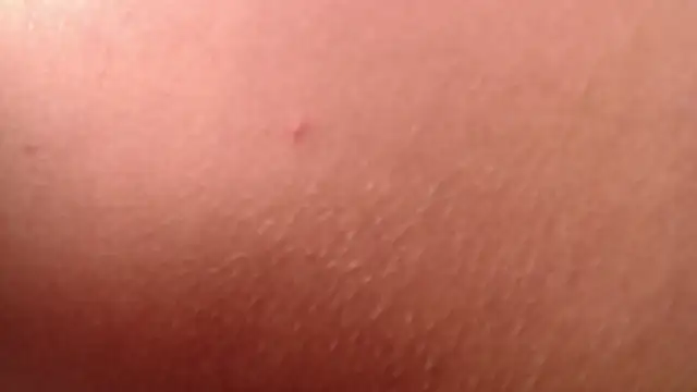 Snapshot of isabella_jazz chatting on 01/07/26, 04:20 isabella jazz online show from 01/07/26, 04:20