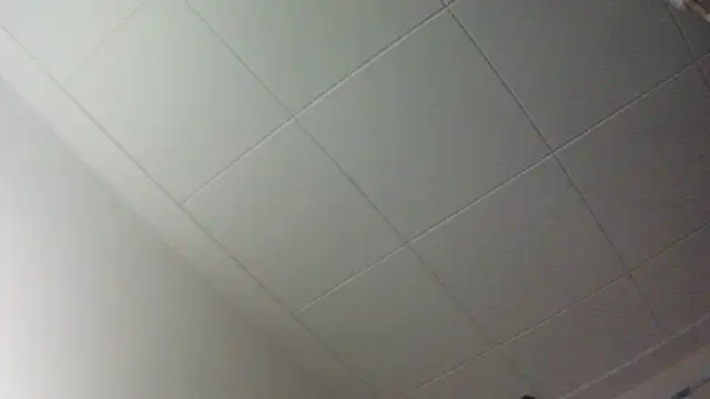 Snapshot of gorkamacbew chatting on 09/09/25, 02:00 gorkamacbew online show from 09/09/25, 02:00