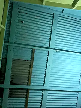 islandvybee55 online show from 12/16/25, 05:01