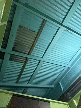 Snapshot of islandvybee55 chatting on 01/11/26, 09:14 islandvybee55 online show from 01/11/26, 09:14