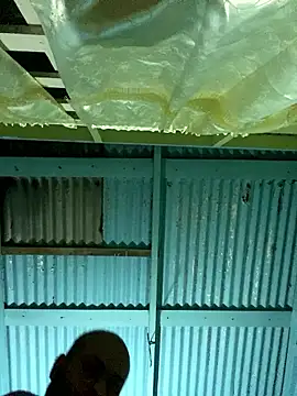 Snapshot of islandvybee55 chatting on 01/12/26, 07:24 islandvybee55 online show from 01/12/26, 07:24