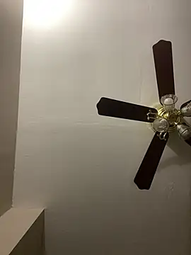 Snapshot of islandvybee55 chatting on 03/17/26, 12:48 islandvybee55 online show from 03/17/26, 12:48