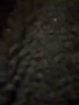 cicciolina online show from 01/31/25, 09:16