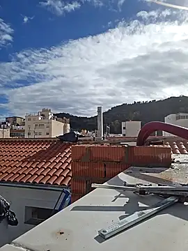 seloloko20 online show from 01/28/25, 10:56