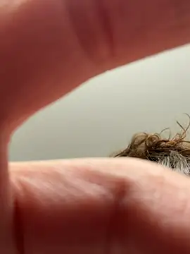 laninasub online show from 04/23/26, 03:30