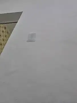 loiraodanadinha online show from 12/11/24, 05:04