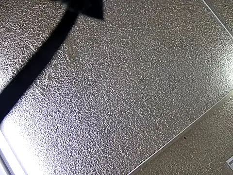 Snapshot of yajahil chatting on 11/28/25, 07:38 yajahil online show from 11/28/25, 07:38