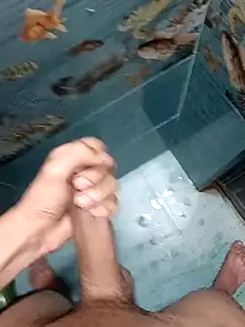 Mr joh online show from 02/12/26, 06:25