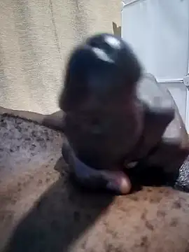 Snapshot of Dick_undisputed chatting on 12/30/24, 09:59 Dick undisputed online show from 12/30/24, 09:59