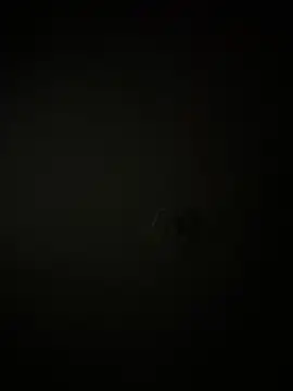 MollySanders    online show from 01/11/25, 11:46