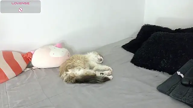 SophieBaker   online show from 05/02/26, 02:16